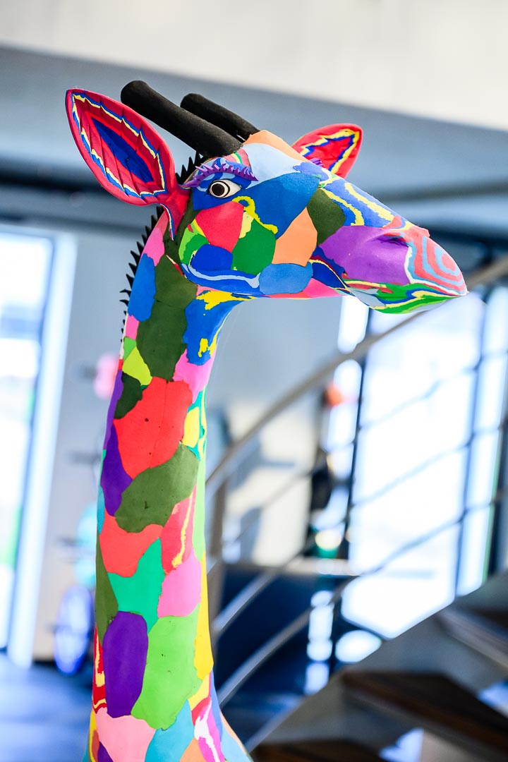 Bij Baat - Henk-Hulshof-fotografie-1080p-220